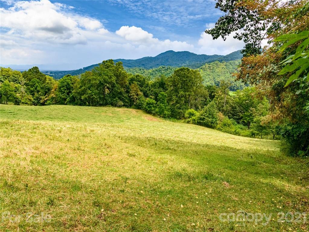 1397 Newfound Road Leicester NC 28748