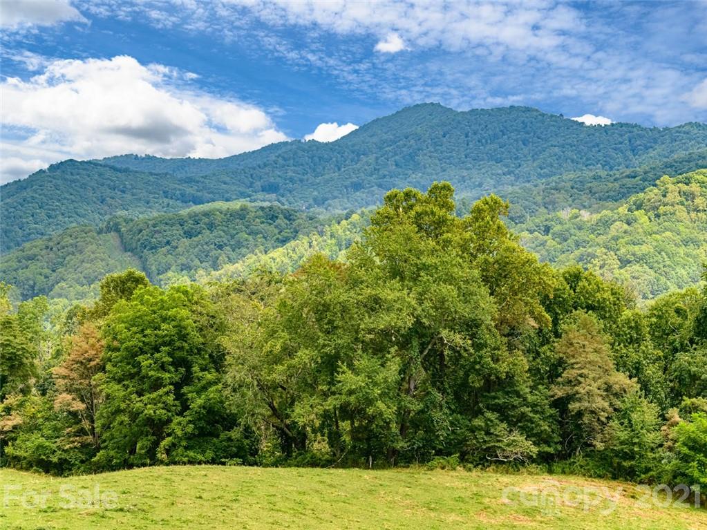 1397 Newfound Road Leicester NC 28748