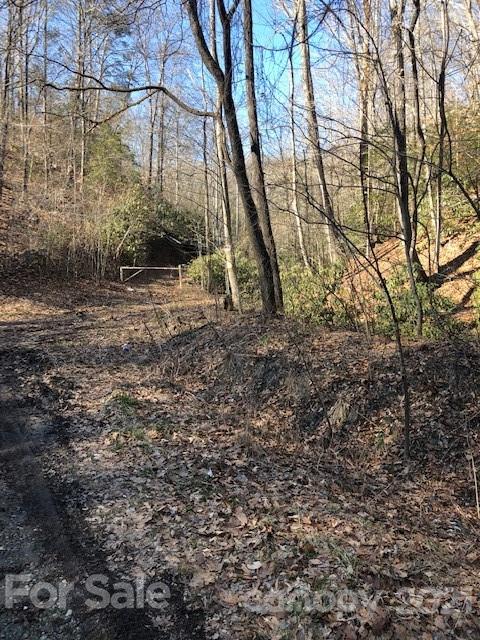 3023 Cedar Creek Road Lake Lure NC 28746