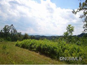 344 Elkins Hollar Drive Marshall NC 28753