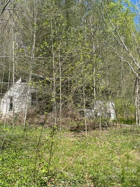 738 Rogers Cove Road Waynesville NC 28785