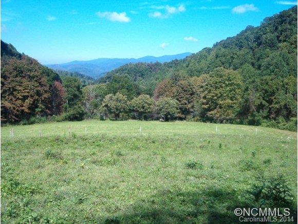 1130 Burton Cove Road Marshall NC 28753