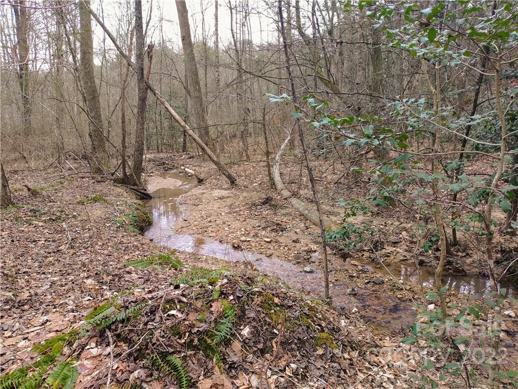 205 Stacy Hollow Drive Marion NC 28752