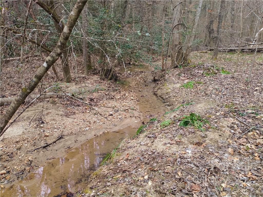 205 Stacy Hollow Drive Marion NC 28752
