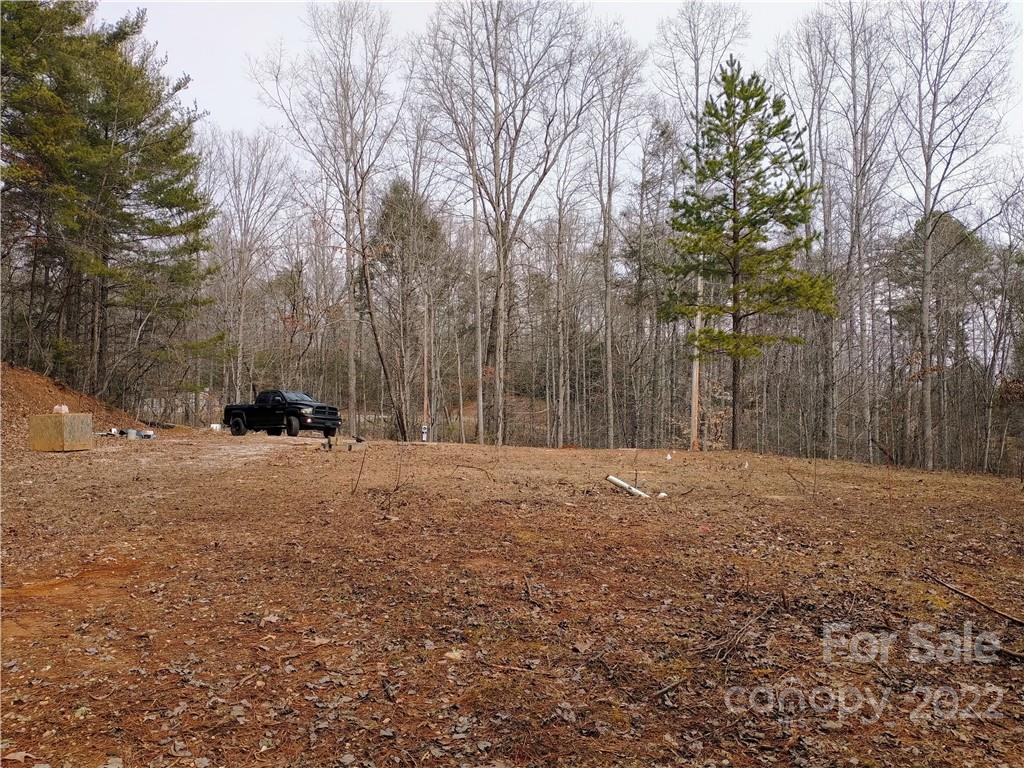 205 Stacy Hollow Drive Marion NC 28752