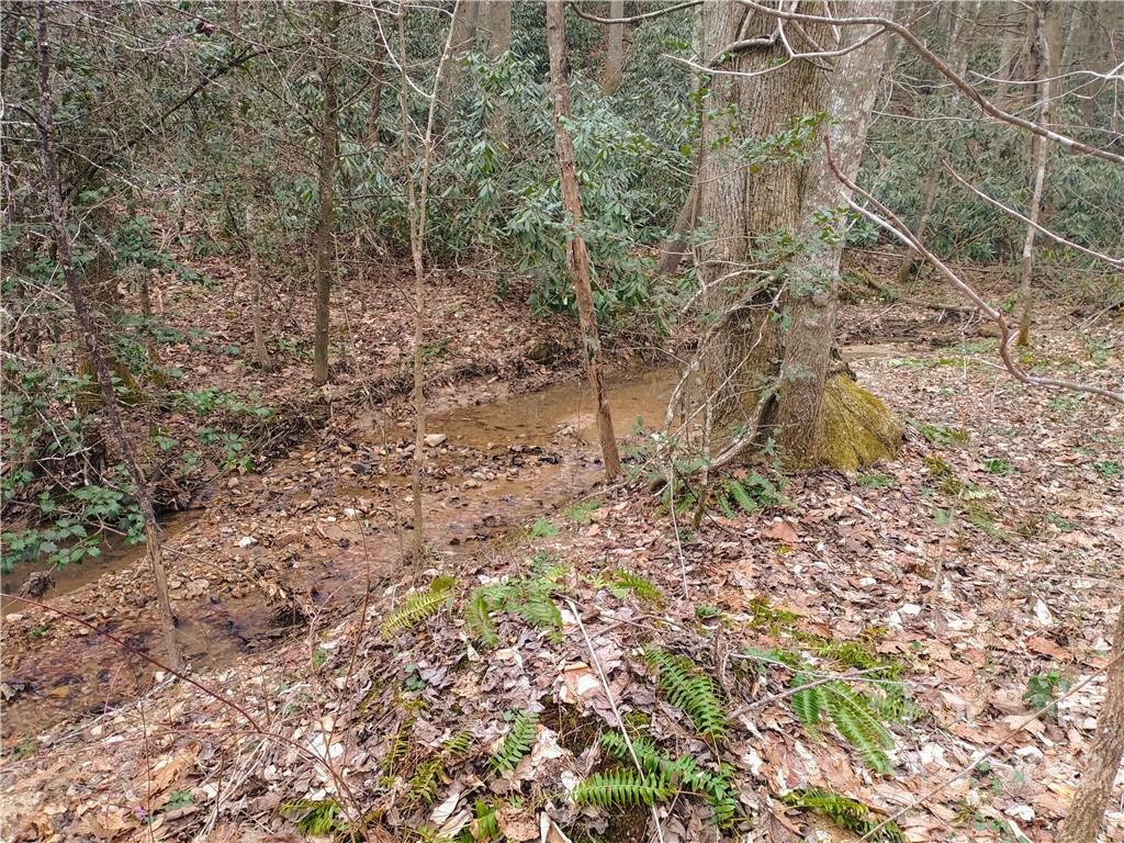 205 Stacy Hollow Drive Marion NC 28752