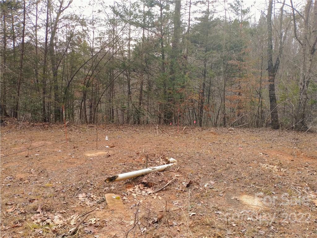205 Stacy Hollow Drive Marion NC 28752