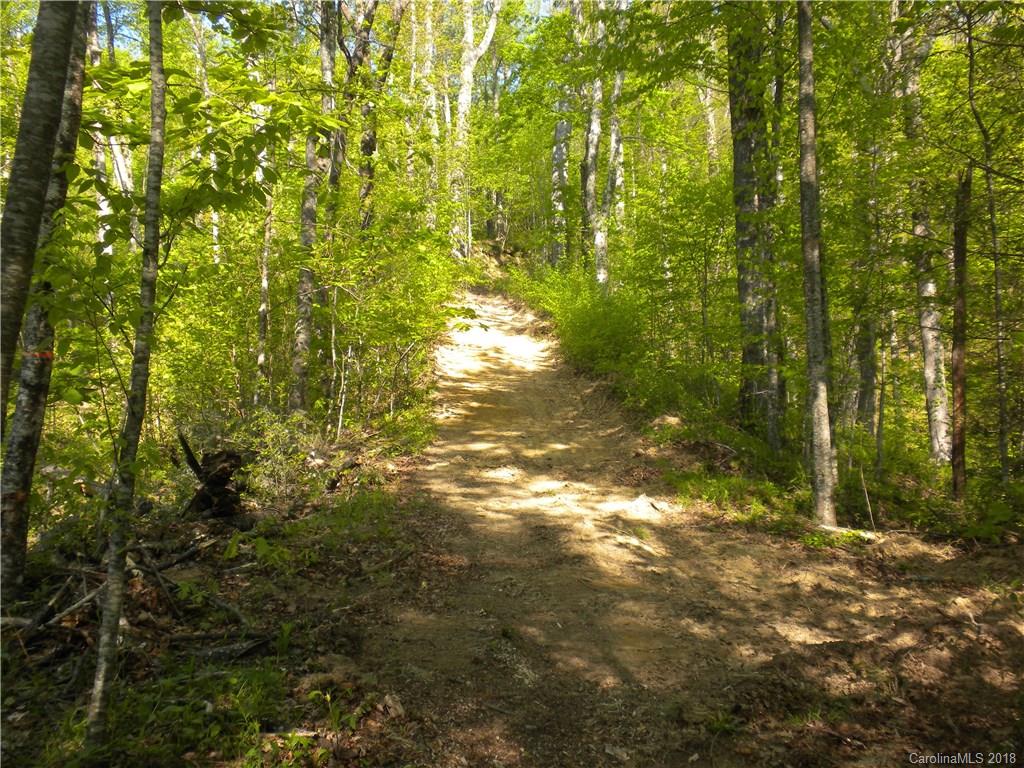 99999 Sand Branch Road Black Mountain NC 28711