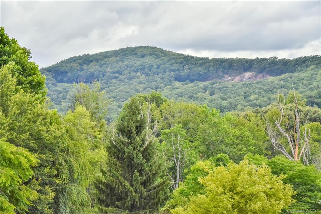 2 Jaks Ridge Drive Asheville NC 28805