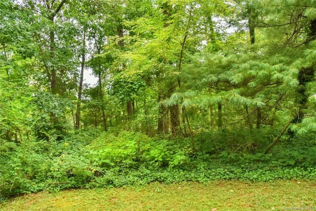 522 Deaverview Road Asheville NC 28806