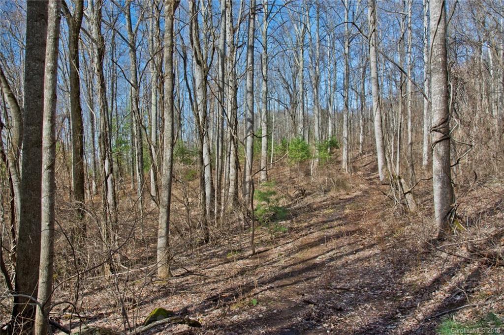 444 Ox Creek Road Weaverville NC 28787