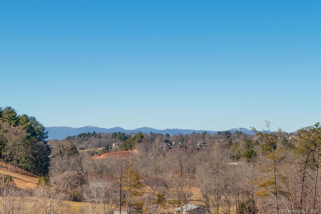 219 Water Leaf Drive Weaverville NC 28787