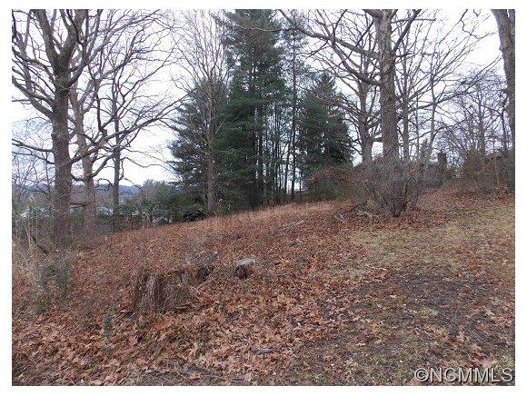 Lot 1 Oak Street Weaverville NC 28787