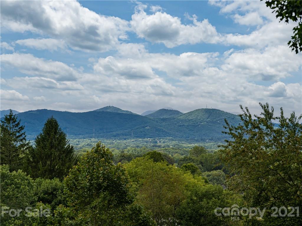 37 Shady Park Lane Asheville NC 28804