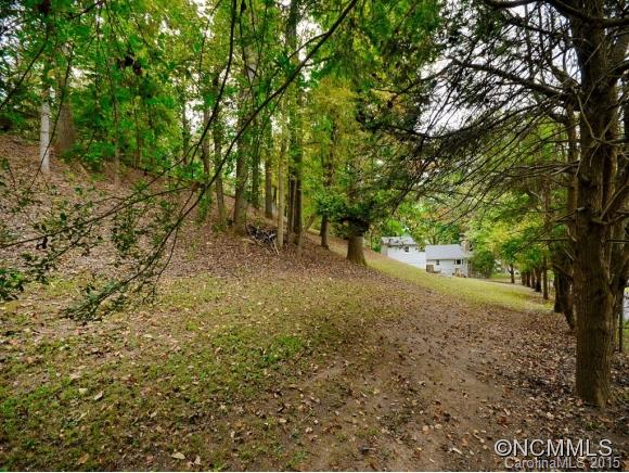 45 Blackstone Avenue Asheville NC 28804