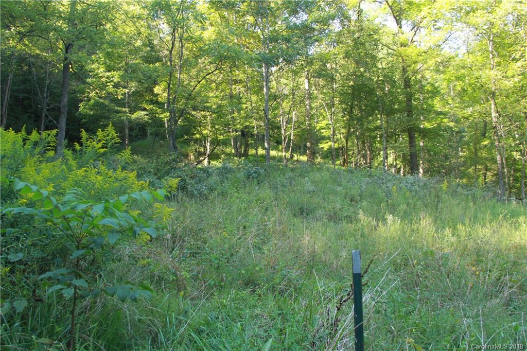 374 Chandler Cove Road Marshall NC 28753