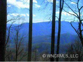 137 Wilma Dykeman Little Switzerland NC 28749