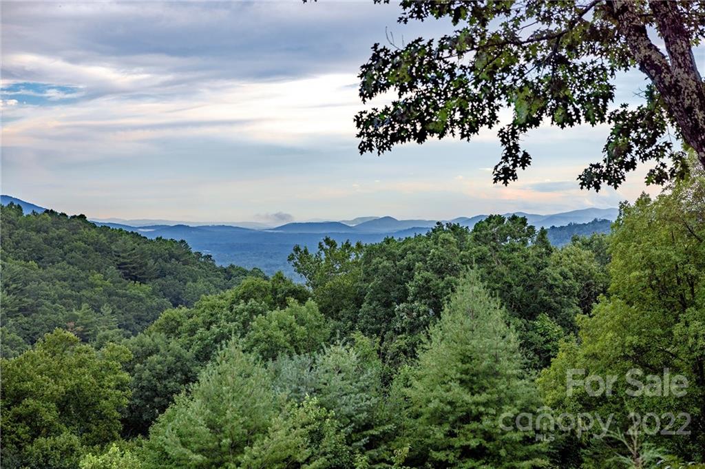 331 E Sondley Drive Asheville NC 28805