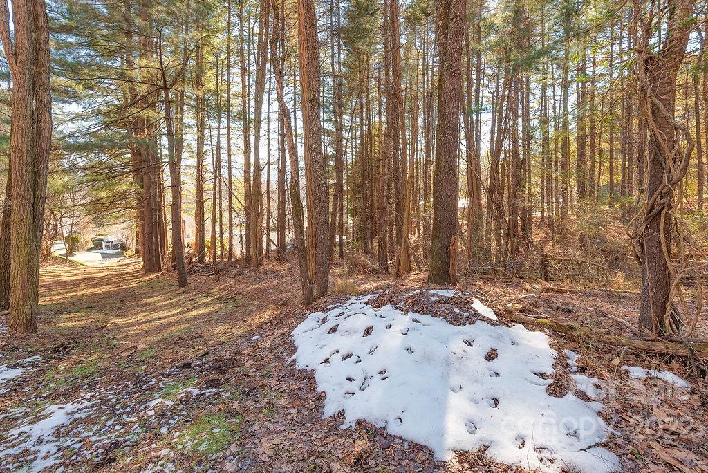 582 Enka Lake Road Candler NC 28715