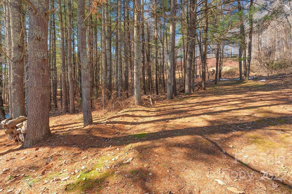 582 Enka Lake Road Candler NC 28715