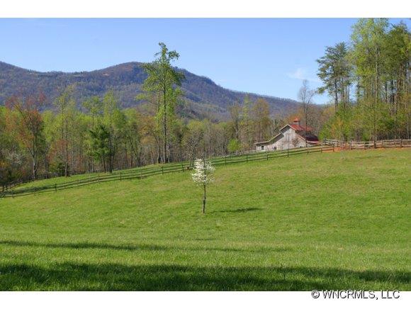 1235 Peniel Road Columbus NC 28722