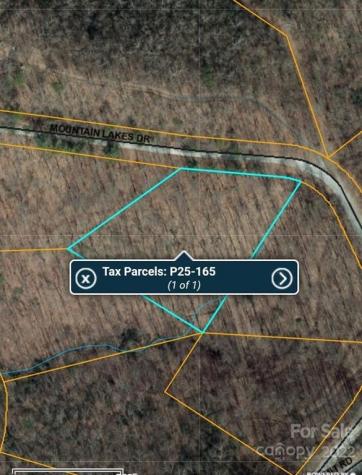 Lot 401 (1.65 ac) Mountain Lakes Drive Tryon NC 28782