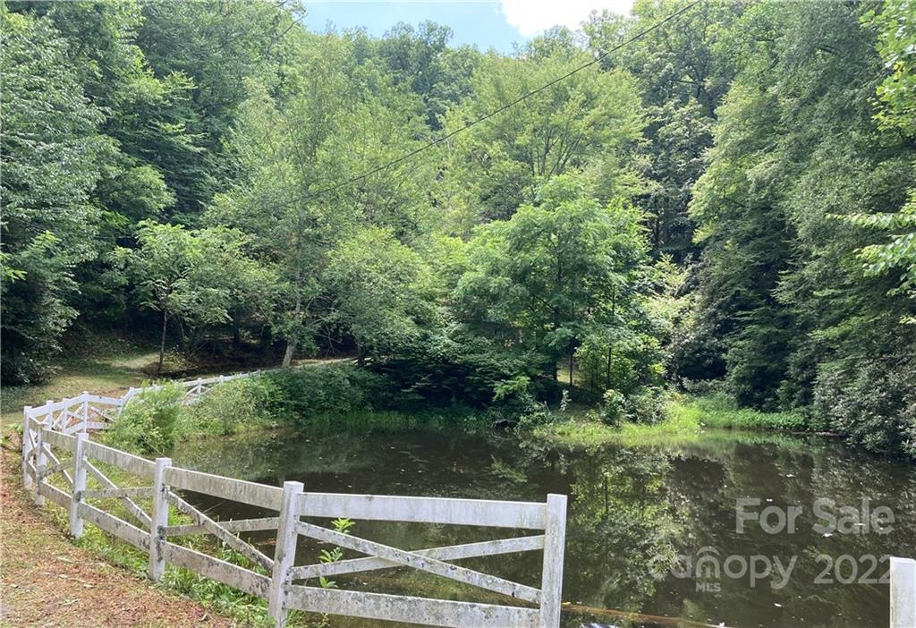 1935 Battle Creek Road Horse Shoe NC 28742