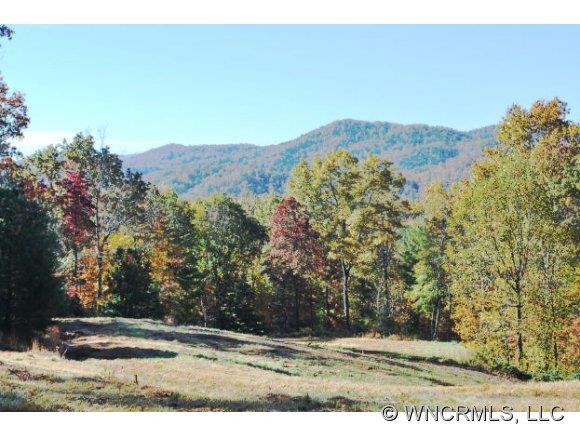 445 Carson Creek Road Brevard NC 28712