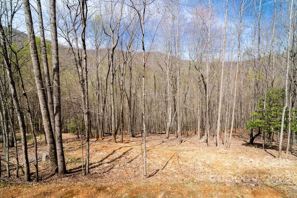 808 Stoney Stream Lane Arden NC 28704