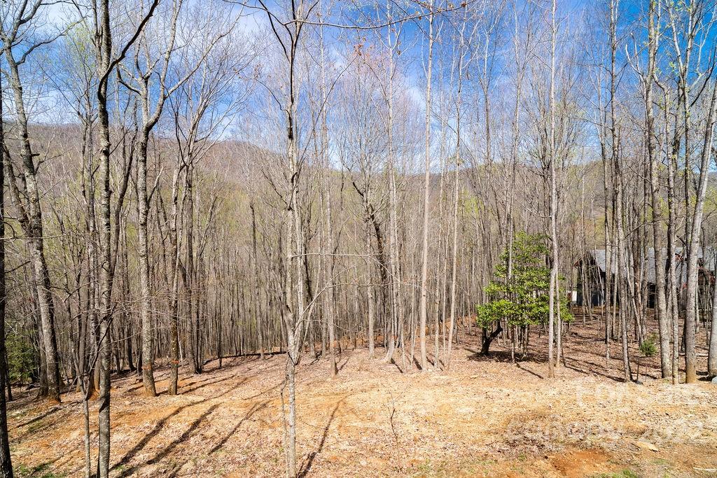 808 Stoney Stream Lane Arden NC 28704