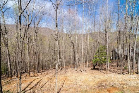 808 Stoney Stream Lane Arden NC 28704