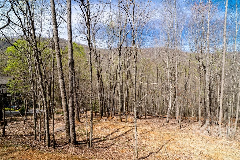 808 Stoney Stream Lane Arden NC 28704