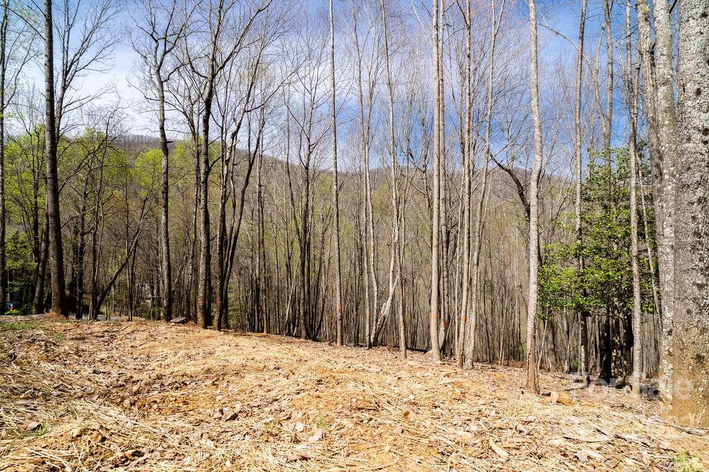 808 Stoney Stream Lane Arden NC 28704