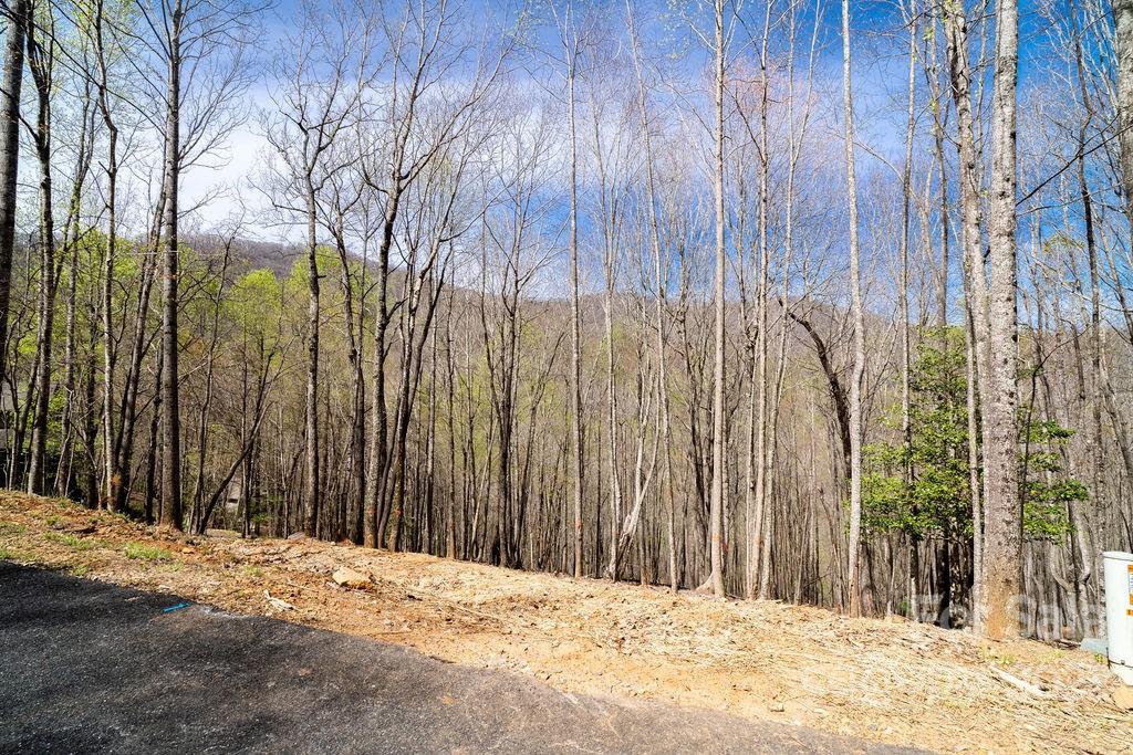 808 Stoney Stream Lane Arden NC 28704
