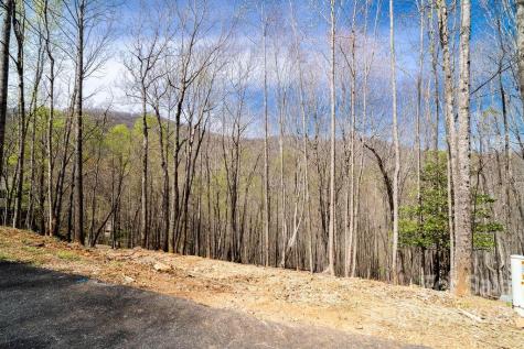 808 Stoney Stream Lane Arden NC 28704
