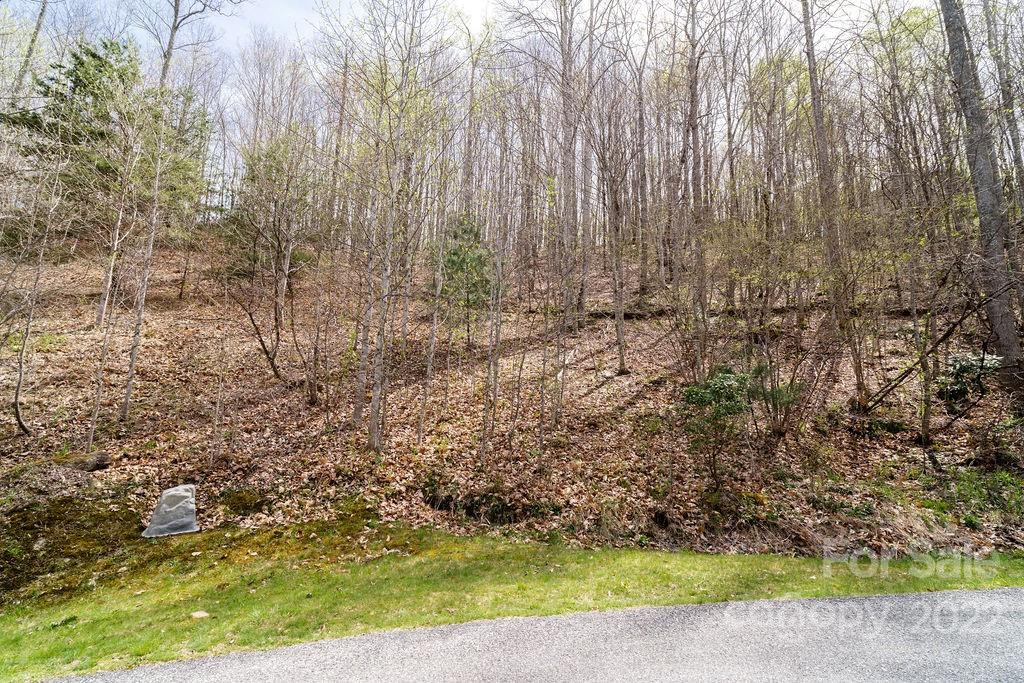 808 Stoney Stream Lane Arden NC 28704