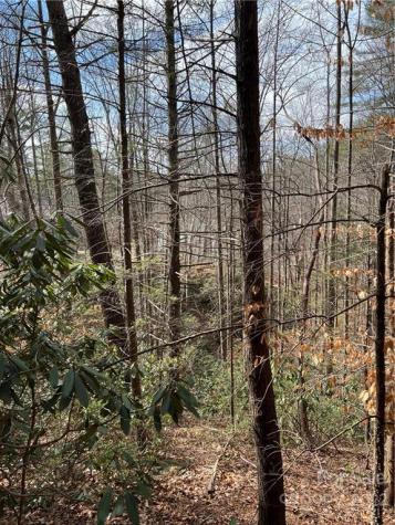 000 Turning Leaf Drive Nebo NC 28761
