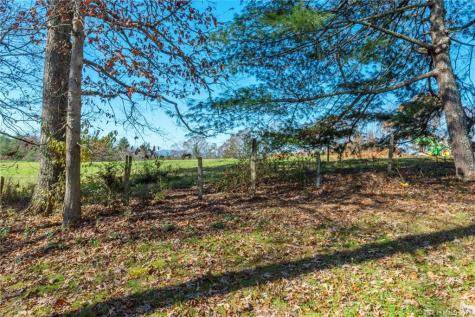 60 Simon Trail Weaverville NC 28787
