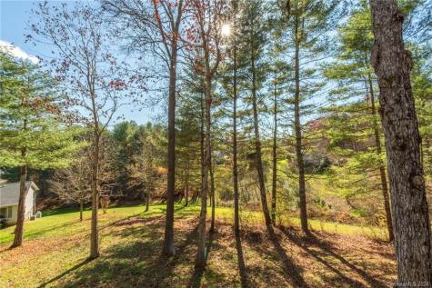 60 Simon Trail Weaverville NC 28787