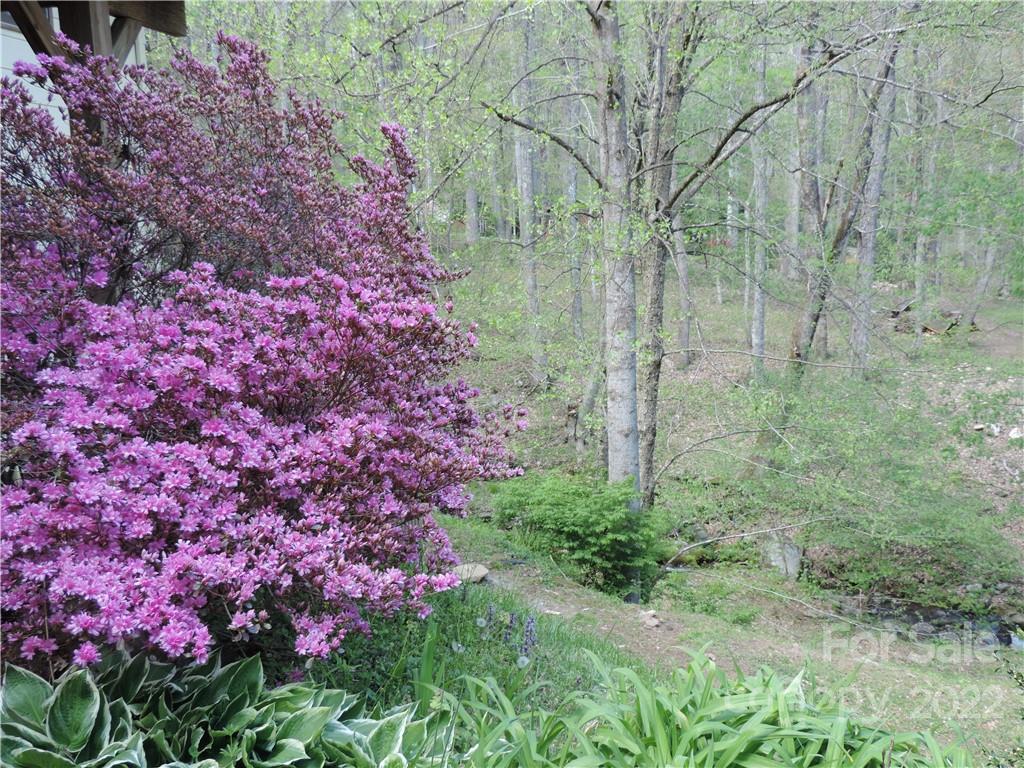 34 Triple Springs Lane Waynesville NC 28786