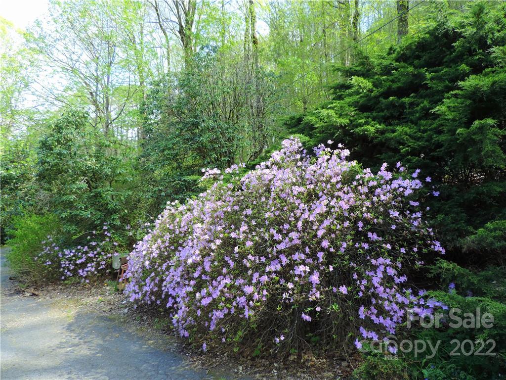 34 Triple Springs Lane Waynesville NC 28786