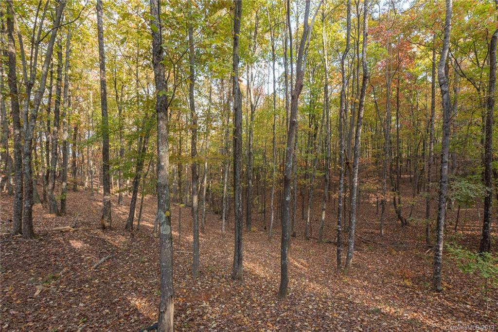 257 Adirondack Trail Nebo NC 28761