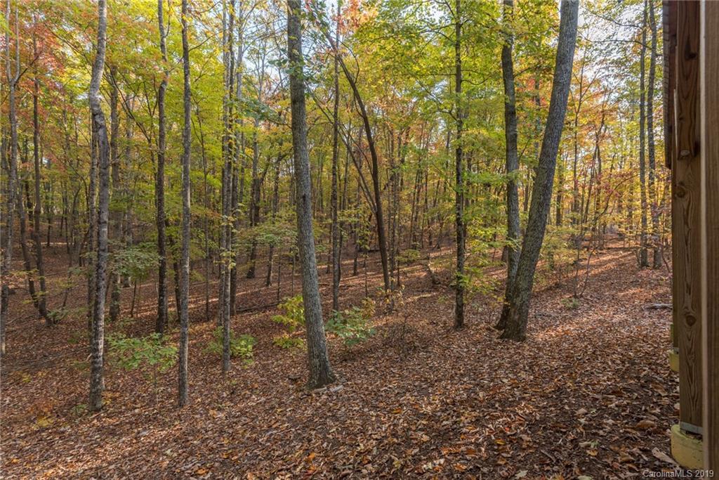 257 Adirondack Trail Nebo NC 28761