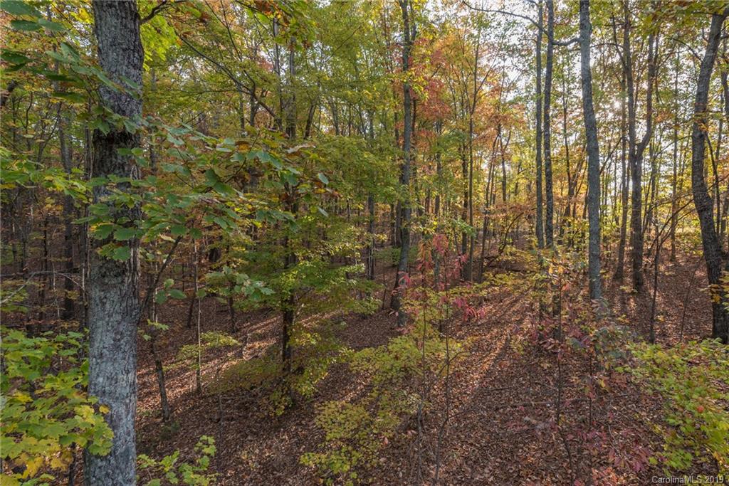 257 Adirondack Trail Nebo NC 28761