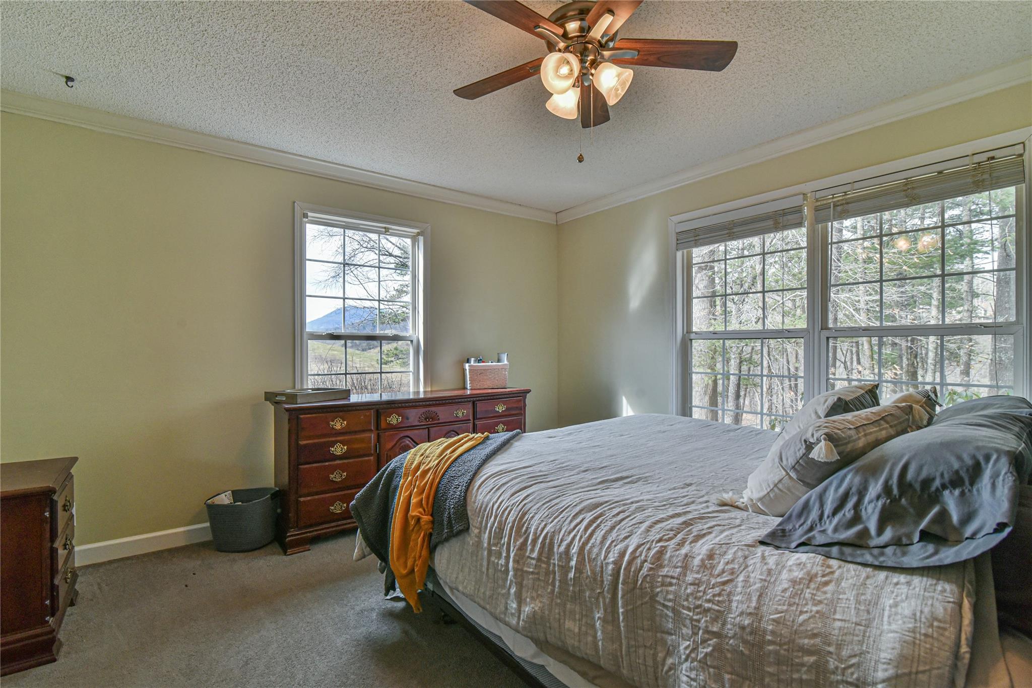 138 Peaceful Valley Drive Leicester NC 28748