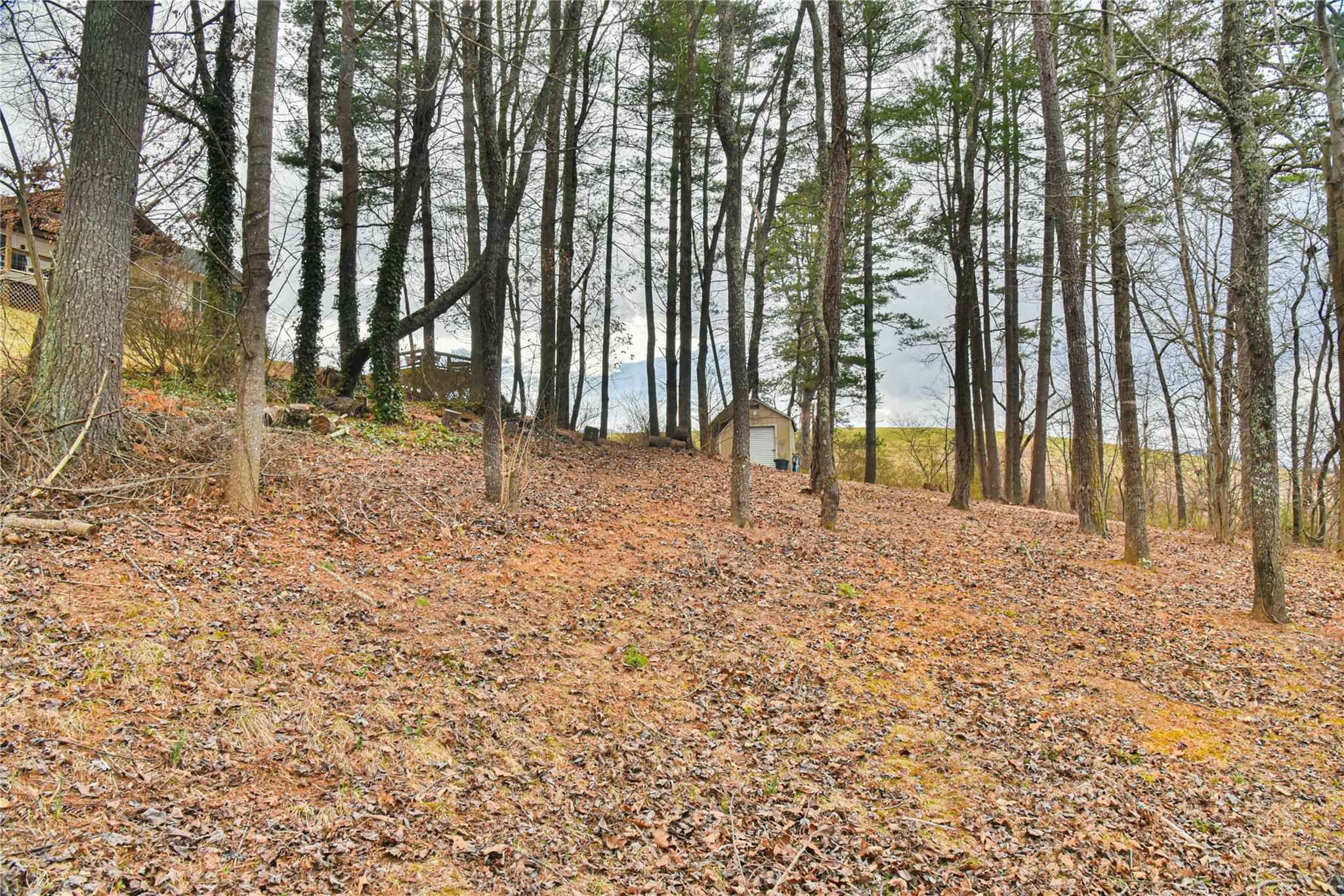 138 Peaceful Valley Drive Leicester NC 28748