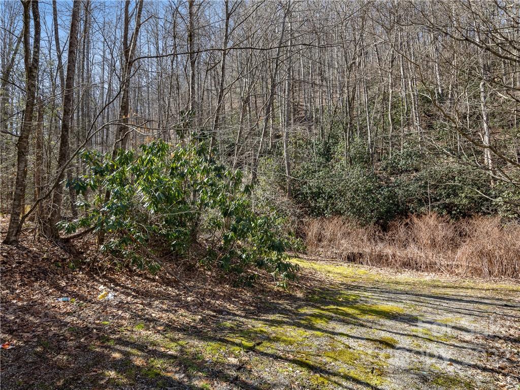 118 & 130 Saw Branch Road Candler NC 28715