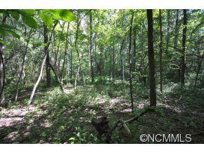 72 Rainbow Ridge Road Swannanoa NC 28778