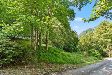 314 Paint Fork Road Barnardsville NC 28709