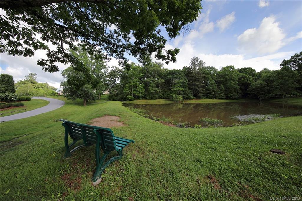 49 Farm Lane Mills River NC 28759